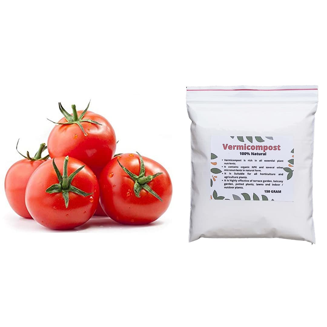 Navya Agriallied Tomato Seeds, Tomato Desi Seed for Home Garden, Balcony Garden, Roof Top Garden Kitchen Garden Pack of 50 Seeds with free Vermicompost 150 Gram (B084VW43DW) Amazon Price History, Amazon Price Tracker