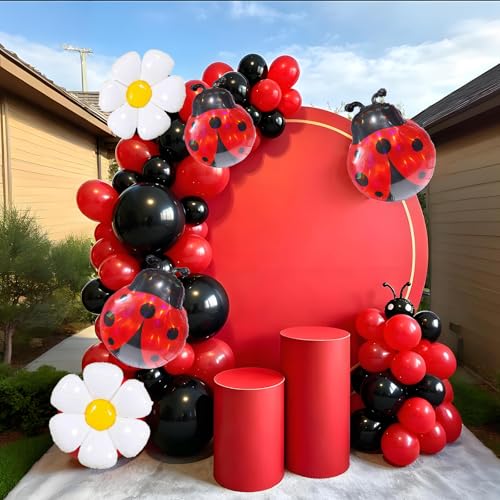 6pcs Ladybug Balloons Daisy Bug Balloons for Ladybug Birthday Decorations Lady Bug Birthday Party Decorations Love Bug Baby Shower Decorations Ladybug Baby Shower Picnic Decor Young Wild Three Party by Enimapod - Used condition - Image 3