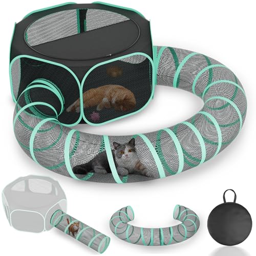 Betopet gltAEghALbgGN[W - Lvsŝ߂̃|[^upeBIOLeg - qL̂߂̉OL̃xr[T[N