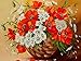 Pittura diamante Papavero Fiore Punto Croce Ricamo Mosaico FAI DA TE Ricamo Pieno Strass Decorazione Casa A8 30x40 cm40