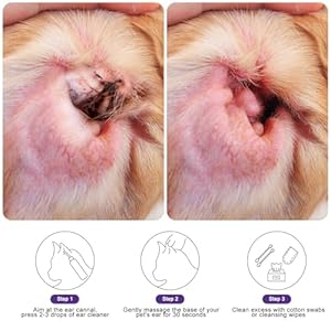 Dog ear cleaner  dog ear inflammation therapy can itch relief soothe ear inflammation removes wax odor with 10 cotton swabs 4 fl oz   cucciolini doodles