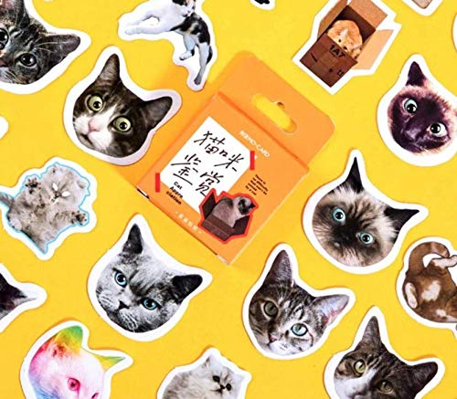 46 Pcs/Pack Kawaii Scrapbooking Stickers Cute Designs Colourful with Cats, Paintings for Decor Applique (Cats)