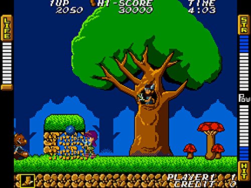 Snk 40th Anniversary Collection Switch - vue 4