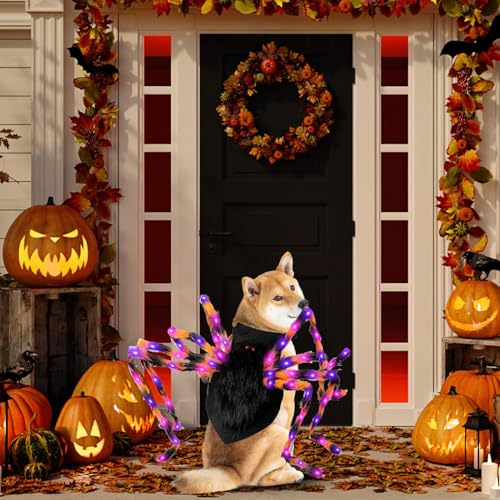 Big Dog Halloween Kostüme, großes Hundespinnenkostüm, riesige Spinnen -Halloween -Kostüm für mittelgroße Hunde, lustige Kostüme