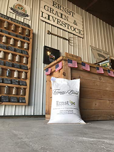 Ernst Grains Rye Grain, Non-GMO – Grown in Maryland; Perfect for feeding. (25 lb)