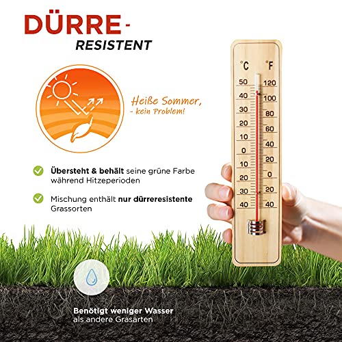 Premium Rasensamen schnellkeimend 1kg = 30-40m² Rasen | dürreresistent, robust, tiefgrün | Ideal für Neuansaat und Nachsaat | Rasensaat Grassamen Sport und Spiel - Image 5