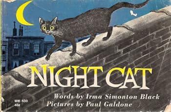 Paperback Night Cat Book