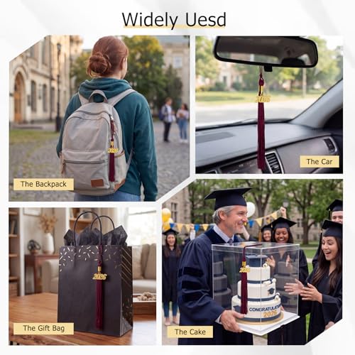 Image of GraduationMall Single&Multiple Color Graduation Tassel with 2026 Year Charm 9 inch