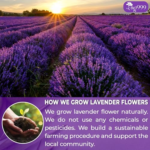 Image of TOG999, Premium 60 Lavender Flower Tea Bags, 100% Natural & Pure. Loose Flower Lavender Herbal Tea. No Sugar, No Caffeine, No Gluten, Vegan.