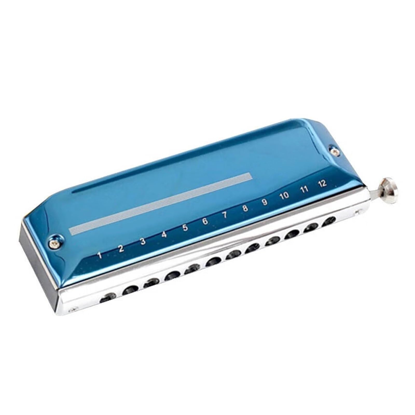 Armonica Cromatica A 12 Fori E 48 Toni Tonalità Do Per Adulti Prestazioni Professionali Copertina Blu Armonica