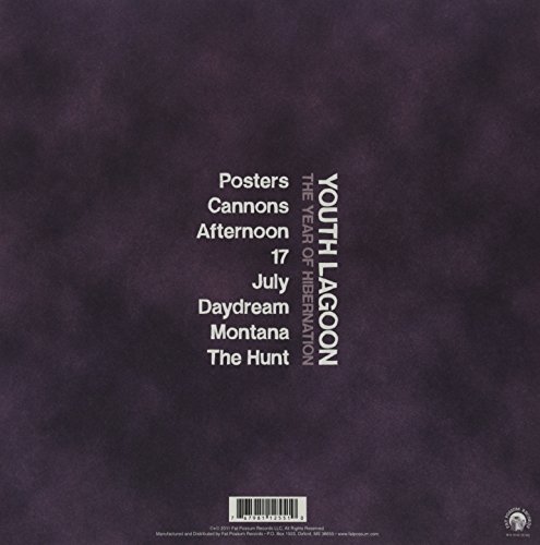 The Year Of Hibernation [Disco de Vinil]