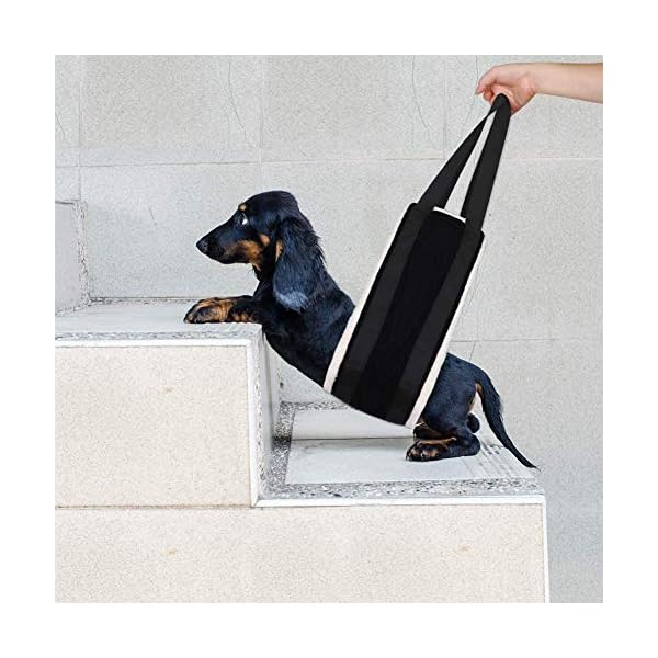 dachshund support sling