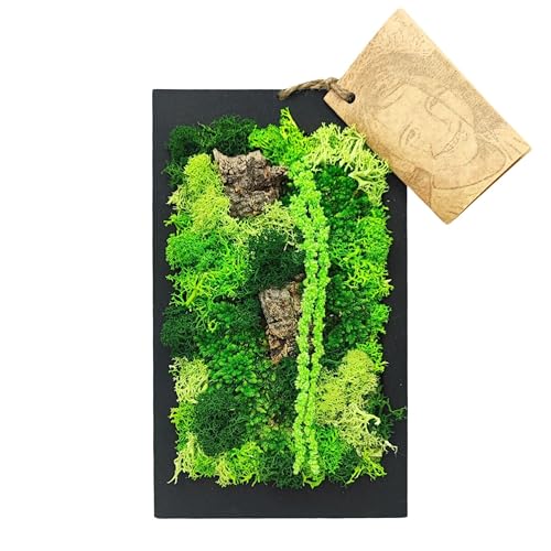 I GIARDINI DI GIULIA - Tableau mural en mousse stabilisé | Entretien zéro | Design élégant | Dimensions compactes 14,5 x 24,5 cm | Décor naturel | Cadre...