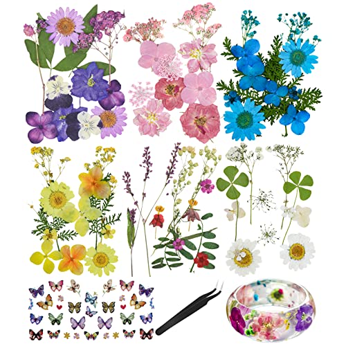 Dreamtop Gepresste Trockenblumen Natürliche Echte Gepresste Geprägte Blumen und Blätter Mini Schmetterling Aufkleber mit Pinzette für Kunst DIY Harz Scrapbooking Handwerk Karten Machen Cover