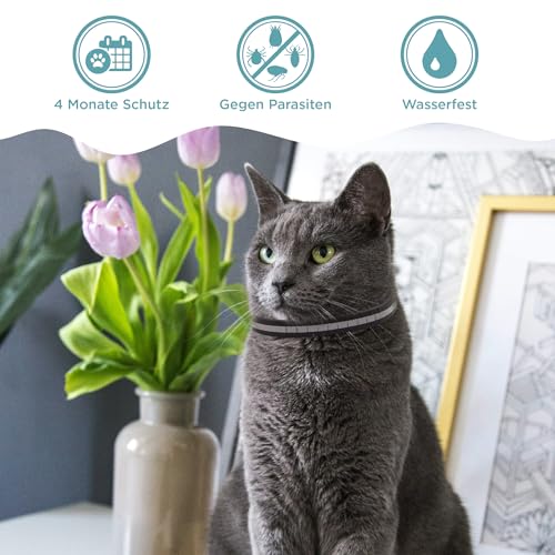 OptiPet x2 Ungezieferhalsband für Katzen | 4 Monate Schutz beiFlöhe Zecken Mücken Milben - reflektierend, für Katzen ab 12 Wochen | Flohhalsband Katzen/Zeckenhalsband für Zeckenschutz Katze
