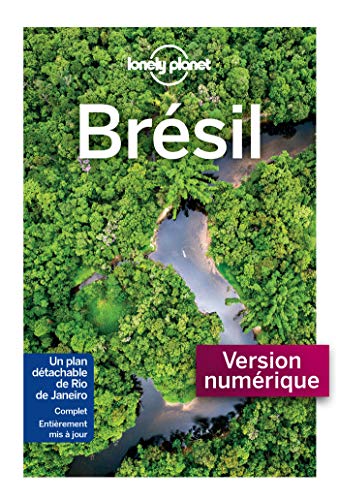 Télécharger Brésil 10ed Francais PDF