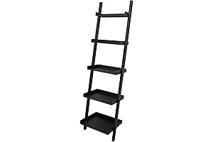 Kiera Grace Providence Hadfield: Leaning 5-Tier Ladder Shelf
