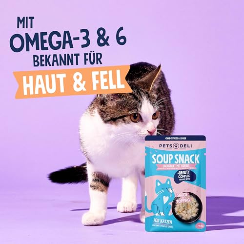 Pets Deli Suppe für Katzen mit Lachs & Kürbis, 12x40g