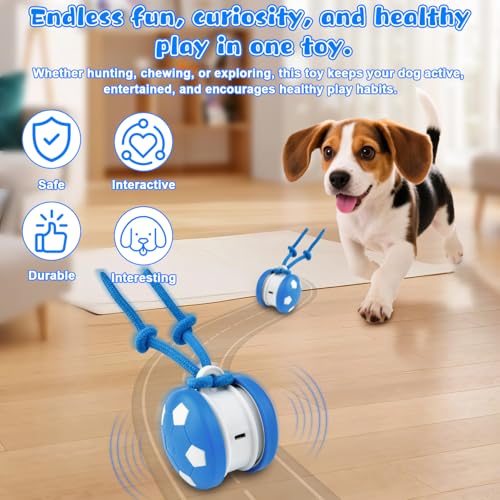 Pipihome Interaktives Hundespielzeug, Interaktiver Spielball für Hunde, Hundespielzeug Intelligenz Hundeball mit Schwanz, Hunde Ball Dog Toys für Hunde Kleine, Mittlere, Große