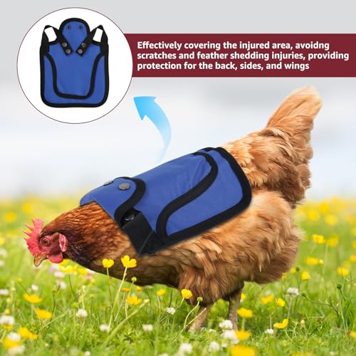 TNTGMG Hühner Sattel,3 Stück Premium Hühner Sättel mit Verstellbarem Gurt, 25×19 cm, Oxford-Stoff Outdoor Henne Sattel Pullover Kleidung, Vögel Federschutz Ausrüstung für Rücken und Seiten