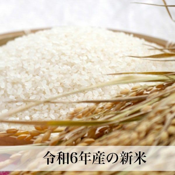 Amazon.co.jp: 宮崎県産 新米 こしひかり 5kg ふく福米 コシヒカリ 令