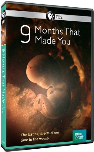 9 Months That Made You [Edizione: Stati Uniti] [Italia] [DVD]