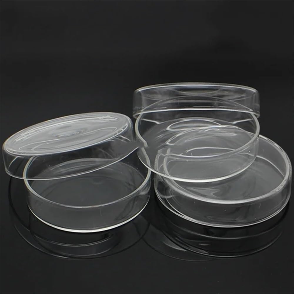 Attrezzature e forniture di laboratorio 60/75/90/100/120 mm con coperchio in vetro borosilicato da laboratorio Petri