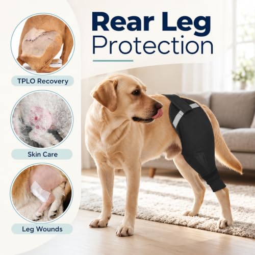 Image of Dog Rear Leg Sleeve to Stop Licking After Wound Surgery Recovery Suit