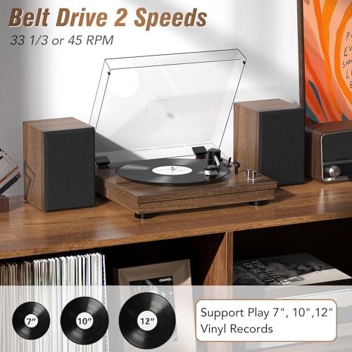Image of Vinyl Record Player with 24W HiFi Stereo Speakers Vintage Bluetooth Turnable for Vinyl Records with Belt Drive 2-Speed, Magnetic Cartridge RCA Output BT5.3