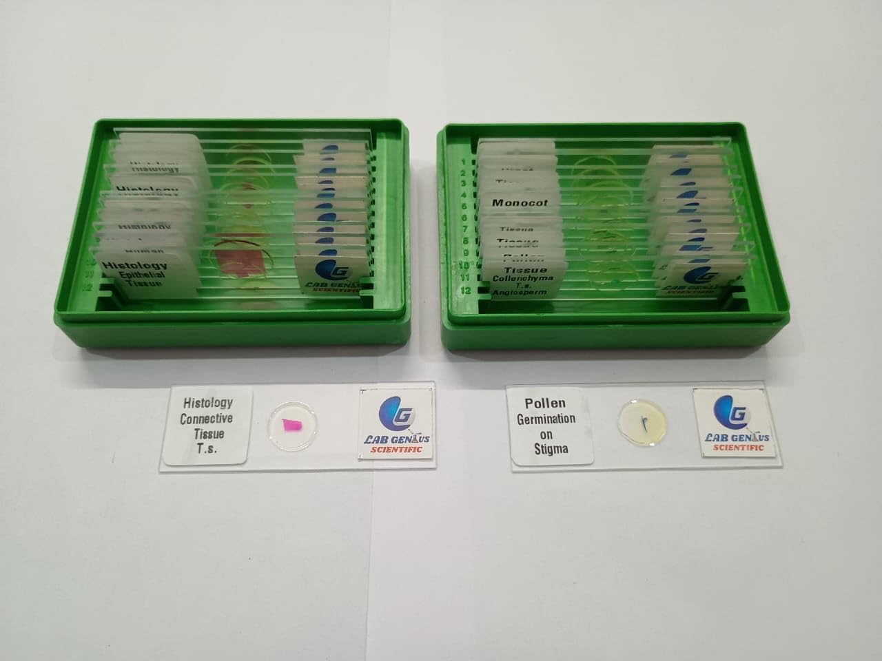 Biology Microscope Permanent Prepared Animal & Plant Tissue Slides Set of 24 | Ready-Made for Biology, Education Lab Use Study-picture-27