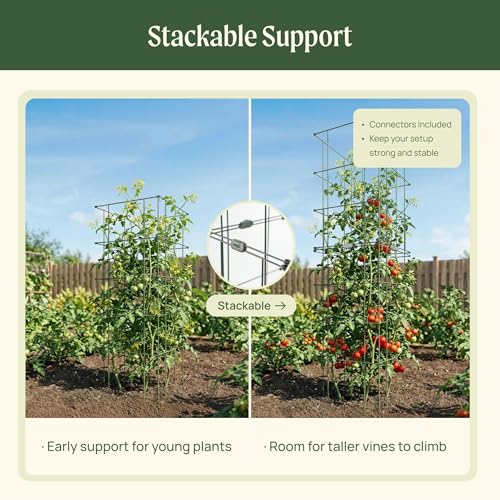Image of Vego Garden 4 Pack 11.5 inch Square Tomato Cage for Garden & Pots, Rust-Resistant Tomato Stakes Heavy Gauge Plant Cage Trellis Support for Climbing Vegetables Plants