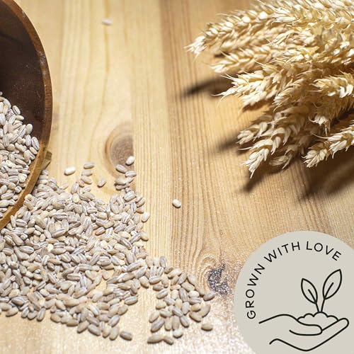 Image of Organic Pearl Barley Grain 2.8lb - Pearled Barley Seeds for Soup Pot | Not Hulled Bulk - Similar to Hulless Barley - Quick Cook for Porridge Cereal - USDA Organic | Vegan