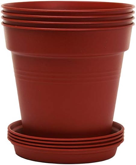 Mintra Home Garden Pots - Flowers, Herbs, Plants, Indoor, Outdoor, Colorful, Wholesale, Bulk (Assorted 6pk, 17cm Diameter (6.6in))