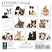 Kittens & Friends: 7x7 Mini