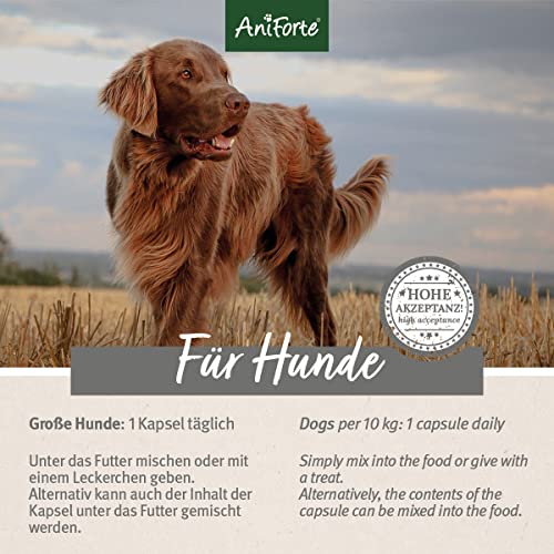 AniForte Zeckenschild für große Hunde 35-50 kg 60 Kapseln – Zeckenschutz Hund, unterstützt den Schutz gegen Zecken, natürlich & effektiv für Junior, Adult & Senior geeignet