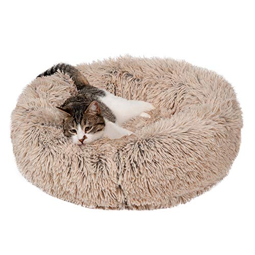 10 Best Calming Bed For Cats