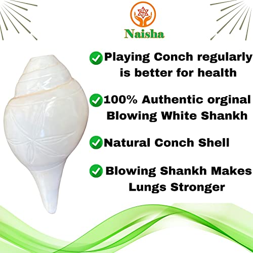 Naisha Genuine Blowing Puja Shankh Vamavarti Dattatreya Conch Shell - Ritual Plain Pooja Shankhnaad Home Decorations (4.0 Inches) #TOP3