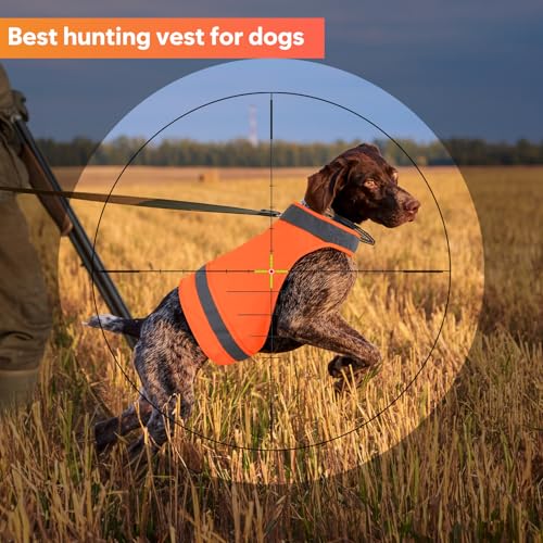 Pack of 2 Blaze Orange Dog Vest, Reflective Vest for Hunting, High Visibility Safety Vest, Soft & Adjustable Reflective Dog Jacket for Walking Hunting Vest - S