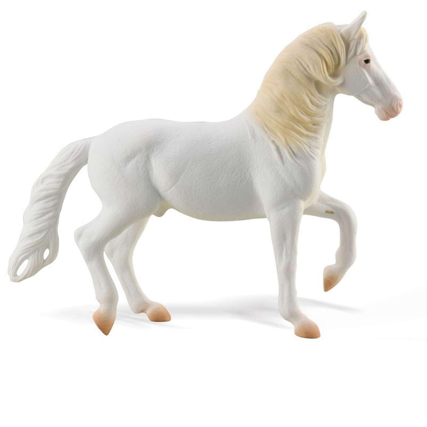 Amazon.com: CollectA Camarillo White Horse Collectable Figurine