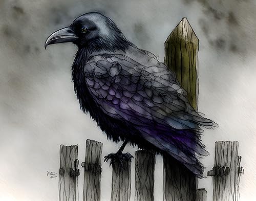 Affiche corbeau brume nuit poster toile dramatique 58x90 cm
