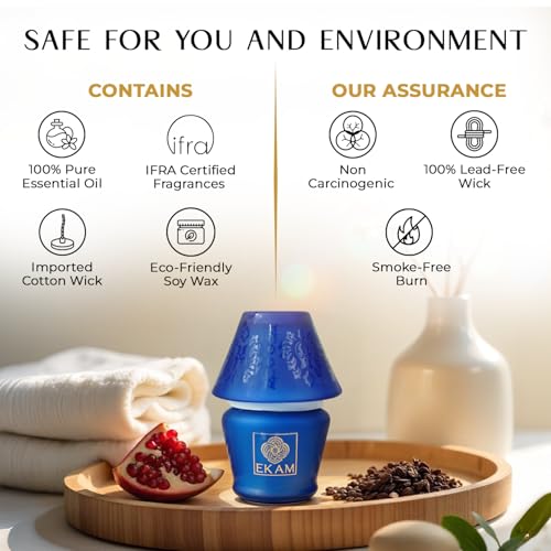 Image of EKAM Scented Frost Glass Lampshade Candle | Black Tea & Pomegranate Scented Candle | Luxury Fragrances| Ideal for Home Decor, Aromatherapy & Gifting | 22 Hours Burn time |114 g