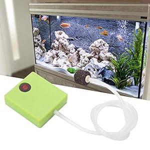 Pompa ad aria per acquario, portatile, a batteria, aeratore con pietra porosa e tubo per acquari e