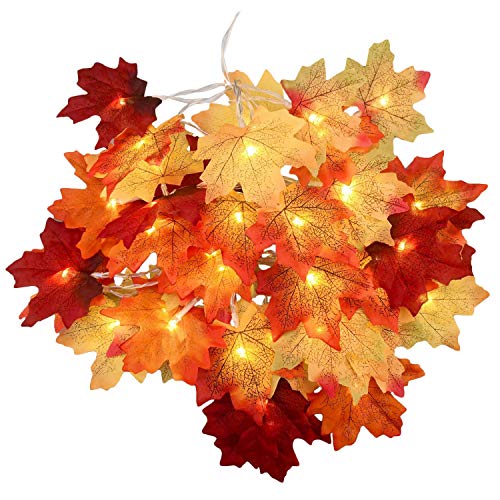 Autumn Weddings Autumn Leaf Fairy Lights The Best Amazon Price