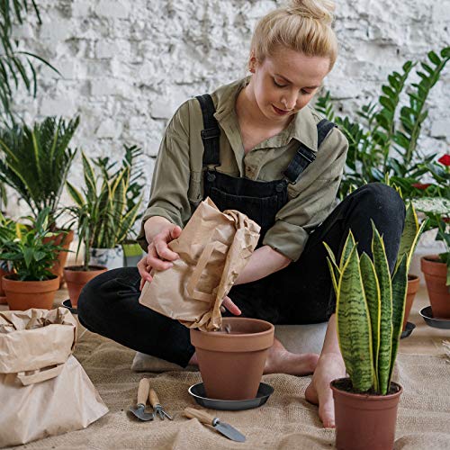 Dunpute 6 Pack Plant Saucer 6 8 10 12 14 16 18 20 Inch Plastic Plant Tray, Sturdy And Durable Flower Pot Container Accessories Plant Pot Saucers For Indoor And Outdoor (6 Inch, Black) #TOP6