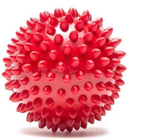 RvPaws Natural Rubber Spiked Ball Dog Chew Toy, Puppy Teething Toys, Multicolor (B09J29HBMQ) Amazon Price History, Amazon Price Tracker