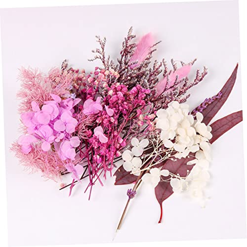 Flores secas para manualidades ORFOFE 1 bolsa miniatura 5