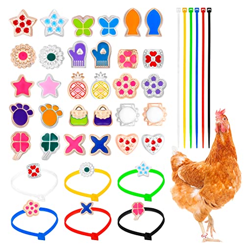 Best Chicken Charm Leg Bands Reviews and Buying Guide 2022 BNB