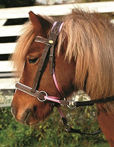 Barefoot Bittless Bridle Sidepull – Weich gepolstert mit breitem Nasen-, Stirn- und Genickstück – Schwarz
