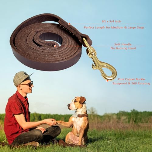 Guiding Star 6FT-BR Leather Dog Leash 6Ft, Dog Leashes thumb #1
