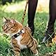 YSJCHEBS 2 Stück Haustierhalsbänder, Stern- Und Mondhalsbänder, Katzen- Und Hundehalsbänder, Halsbänder Mit Glöckchen, Verstellbare Wiederverwendbare Halsbänder, Heimtierbedarf